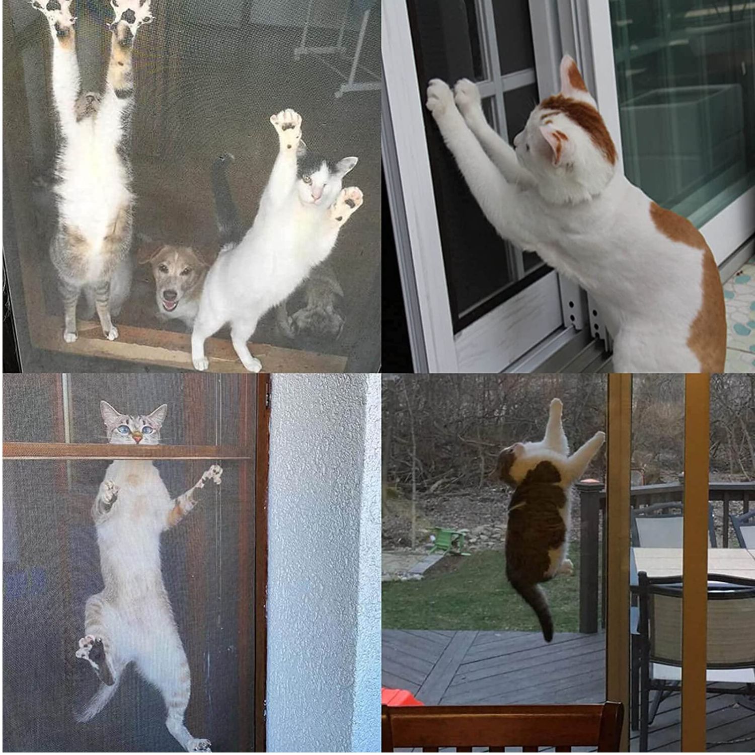 Window Mesh For Cats - White Frame - 19" x 19", image 5