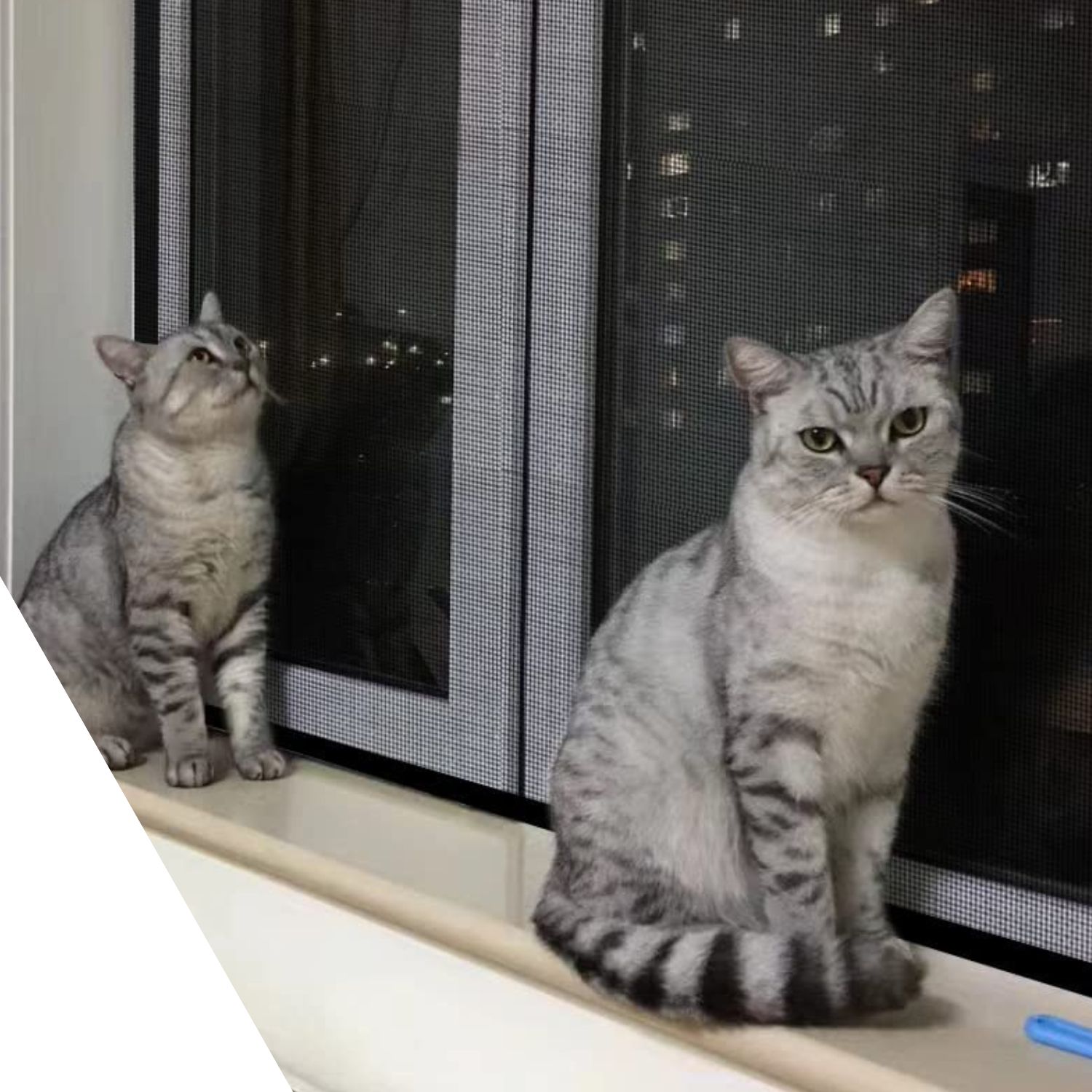Window Mesh For Cats